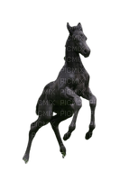 silly baby horse 3 - PNG gratuit