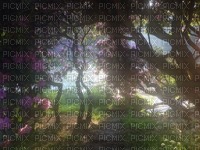 spring background - nemokama png