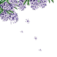 flowers border - Free PNG