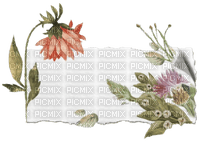 Flower tag label - ilmainen png