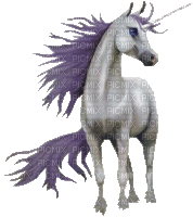 unicornio - GIF animado grátis