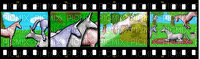 charlie the unicorn filmstrips - δωρεάν png