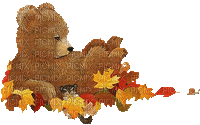 Autumn Fall Bear Cub - GIF เคลื่อนไหวฟรี