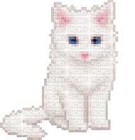kitty ♡ - GIF animé gratuit