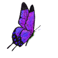 papillon - Kostenlose animierte GIFs