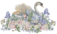 swans bp - Zdarma animovaný GIF