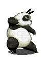panda - Nemokamas animacinis gif