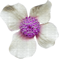 flower - darmowe png