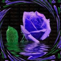 rosas - nemokama png