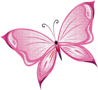 Pink butterfly papillon rose insecte