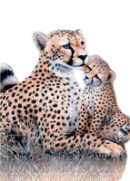 leopard milla1959 - бесплатно png