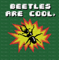 beetles are cool - Бесплатный анимированный гифка