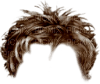Cheveux - 免费PNG
