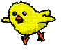 baby chick - 免费动画 GIF