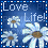 Love Life! blue animated oldweb gif - Zdarma animovaný GIF