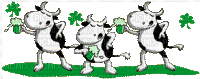 st.patrick s day dancing cow