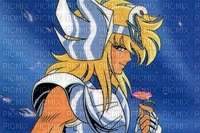Swan Hyoga - Free PNG