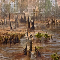 Brown Swamp Background - 無料png