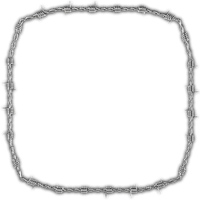 ♡§m3§♡ kawaii barbwire wire frame silver - PNG gratuit
