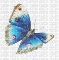 chantalmi papillon butterfly blue bleu - GIF animado gratis