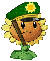 funny sunflower gif tournesol - Free animated GIF