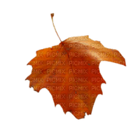 Autumn dm19 - фрее пнг