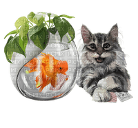 cat chat katze fish fisch poisson glas glass deco  fun  summer ete  tube  sommer animal - zadarmo png