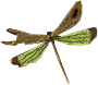 ✶ Dragonfly {by Merishy} ✶ - Free PNG