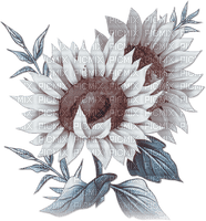 soave deco flowers sunflowers branch blue brown - бесплатно png
