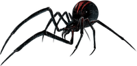 spider by nataliplus - zdarma png