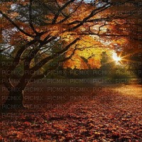 autumn  background by nataliplus - ücretsiz png