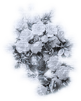 vase flower dubravka4 - ücretsiz png