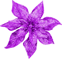 Christmas.Flower.Purple - 無料png