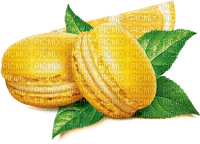 macaron Bb2 - PNG gratuit