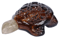 avon turtle perfume - PNG gratuit