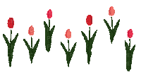 Tulipes.Tulips.Fleur.Victoriabea - Бесплатный анимированный гифка