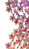 VanessaVallo _crea= spring flowers glitter - Animovaný GIF zadarmo