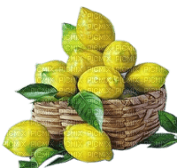 Rena Zitronenkorb - kostenlos png