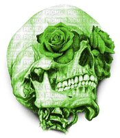 Y.A.M._Gothic skull green - ilmainen png