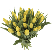 желтые тюльпаны - png ฟรี