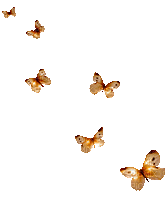 Schmetterlinge/Butterflys - GIF animé gratuit