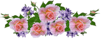 kukka fleur flower ruusu, rose - png gratis