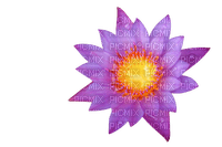 Flower Lotus Teeh - png gratuito