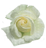 deco fleur flower - PNG gratuit