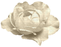 flower-creame - 無料png