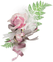 blomma-rosa - ingyenes png