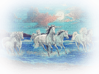 loly33 cheval - bezmaksas png