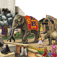 zoo wild animals people - 免费PNG