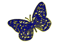 butterfly papillon schmetterling - Gratis animerad GIF