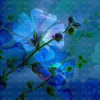 Голубой цветочный фон - png grátis